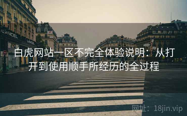 白虎网站一区不完全体验说明：从打开到使用顺手所经历的全过程
