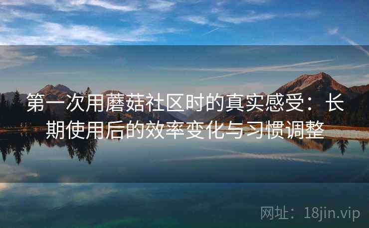 第一次用蘑菇社区时的真实感受：长期使用后的效率变化与习惯调整