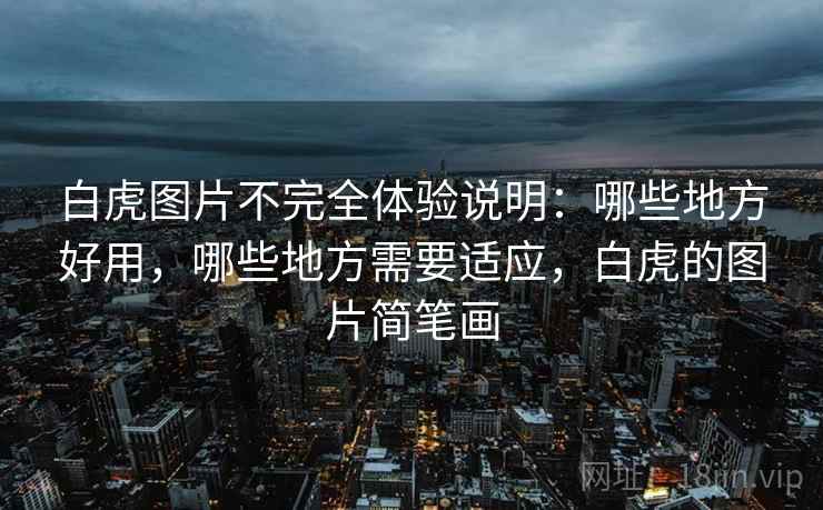 白虎图片不完全体验说明：哪些地方好用，哪些地方需要适应，白虎的图片简笔画