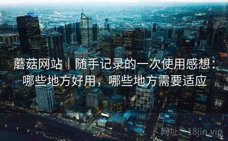 蘑菇网站｜随手记录的一次使用感想：哪些地方好用，哪些地方需要适应