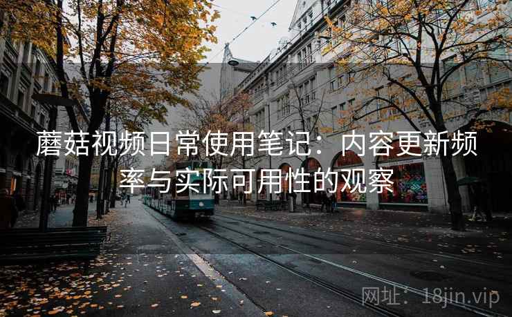 蘑菇视频日常使用笔记：内容更新频率与实际可用性的观察