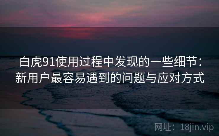 白虎91使用过程中发现的一些细节：新用户最容易遇到的问题与应对方式