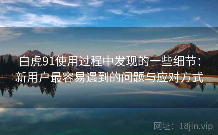 白虎91使用过程中发现的一些细节：新用户最容易遇到的问题与应对方式