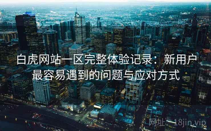 白虎网站一区完整体验记录：新用户最容易遇到的问题与应对方式