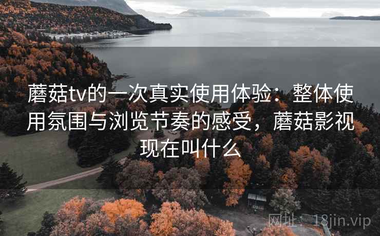 蘑菇tv的一次真实使用体验：整体使用氛围与浏览节奏的感受，蘑菇影视现在叫什么