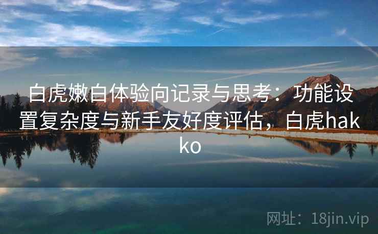 白虎嫩白体验向记录与思考：功能设置复杂度与新手友好度评估，白虎hakko