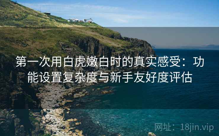第一次用白虎嫩白时的真实感受：功能设置复杂度与新手友好度评估