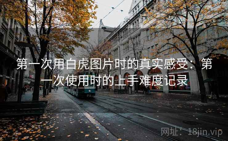 第一次用白虎图片时的真实感受：第一次使用时的上手难度记录