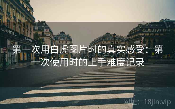 第一次用白虎图片时的真实感受：第一次使用时的上手难度记录
