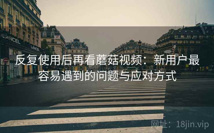 反复使用后再看蘑菇视频：新用户最容易遇到的问题与应对方式
