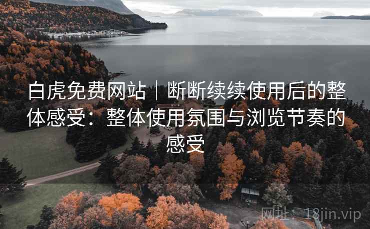 白虎免费网站｜断断续续使用后的整体感受：整体使用氛围与浏览节奏的感受